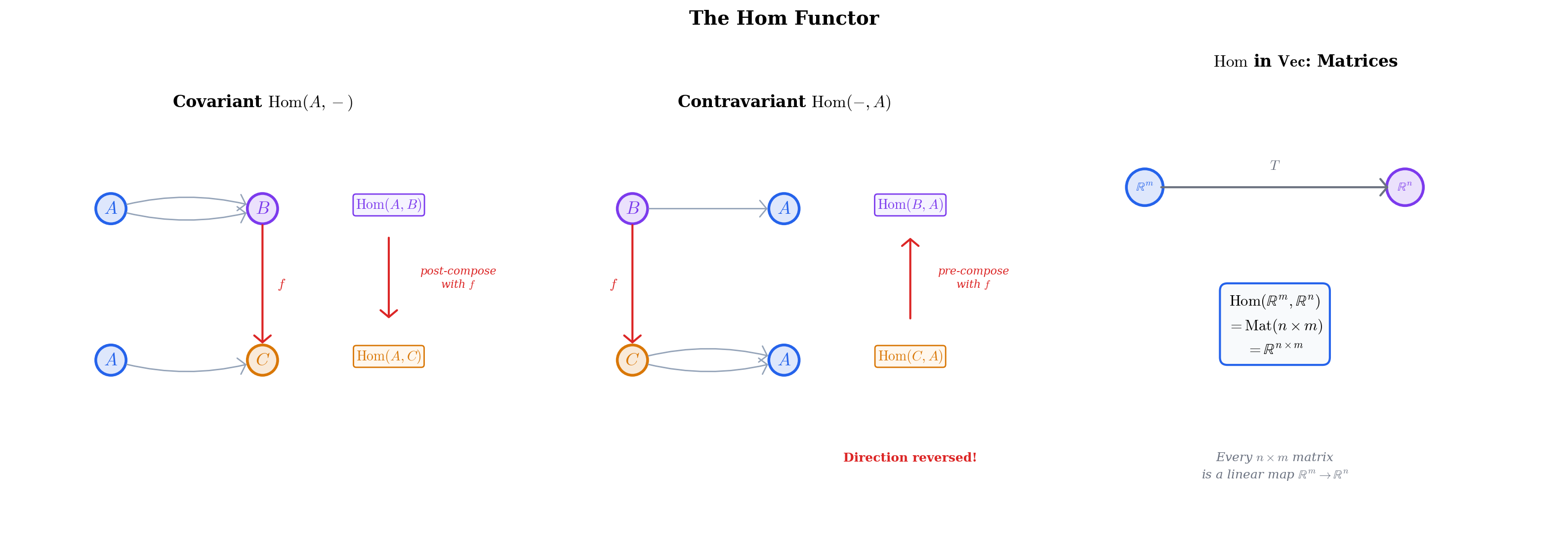 Hom functor diagram showing covariant and contravariant cases, and matrix interpretation