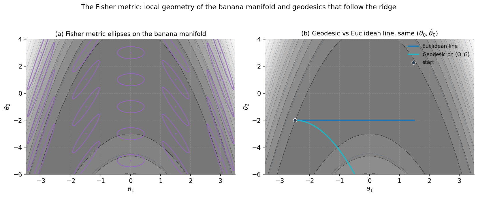 Two-panel figure showing Fisher metric ellipses over the banana posterior and a comparison of a geodesic to a Euclidean straight line from a common starting point.