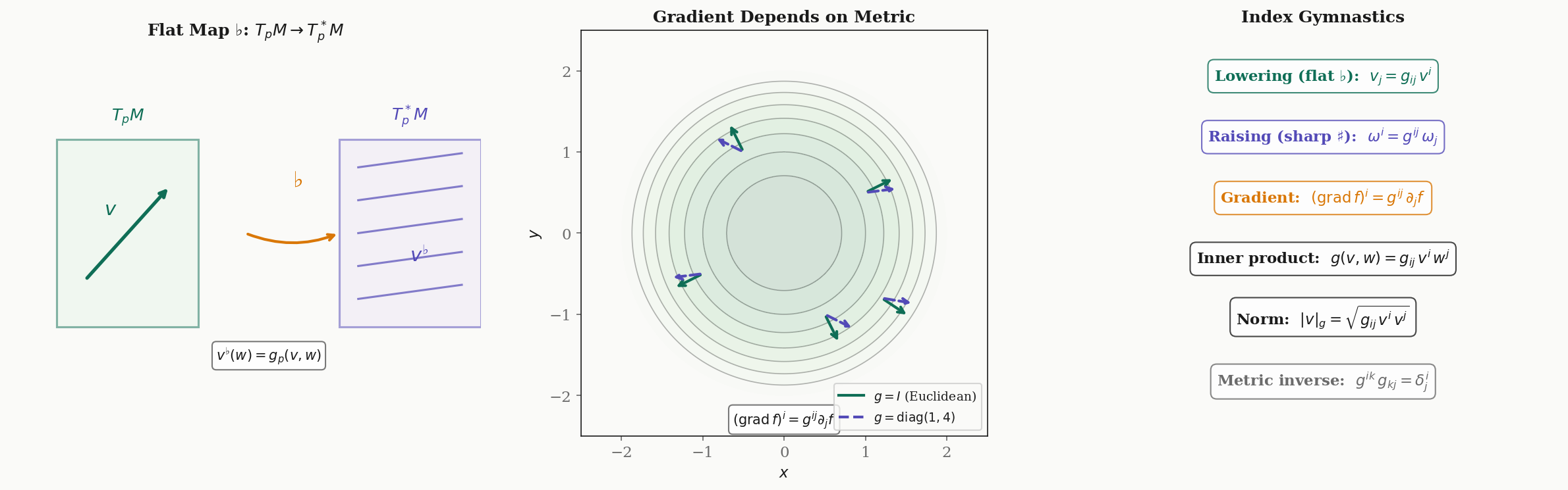 Musical isomorphisms — the flat map sends a tangent vector to a covector, the sharp map inverts it, and the gradient of a function depends on which metric we use