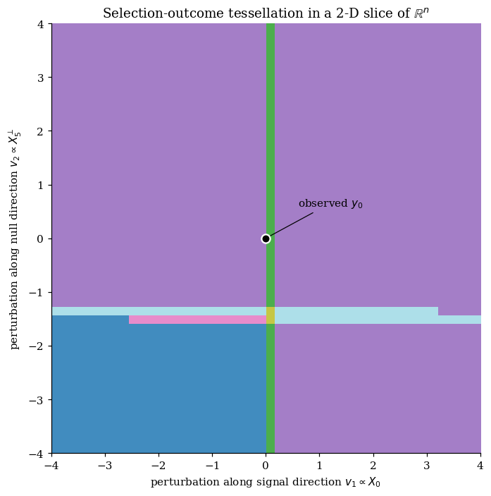 Selection-outcome tessellation in a 2-D slice of the sample space