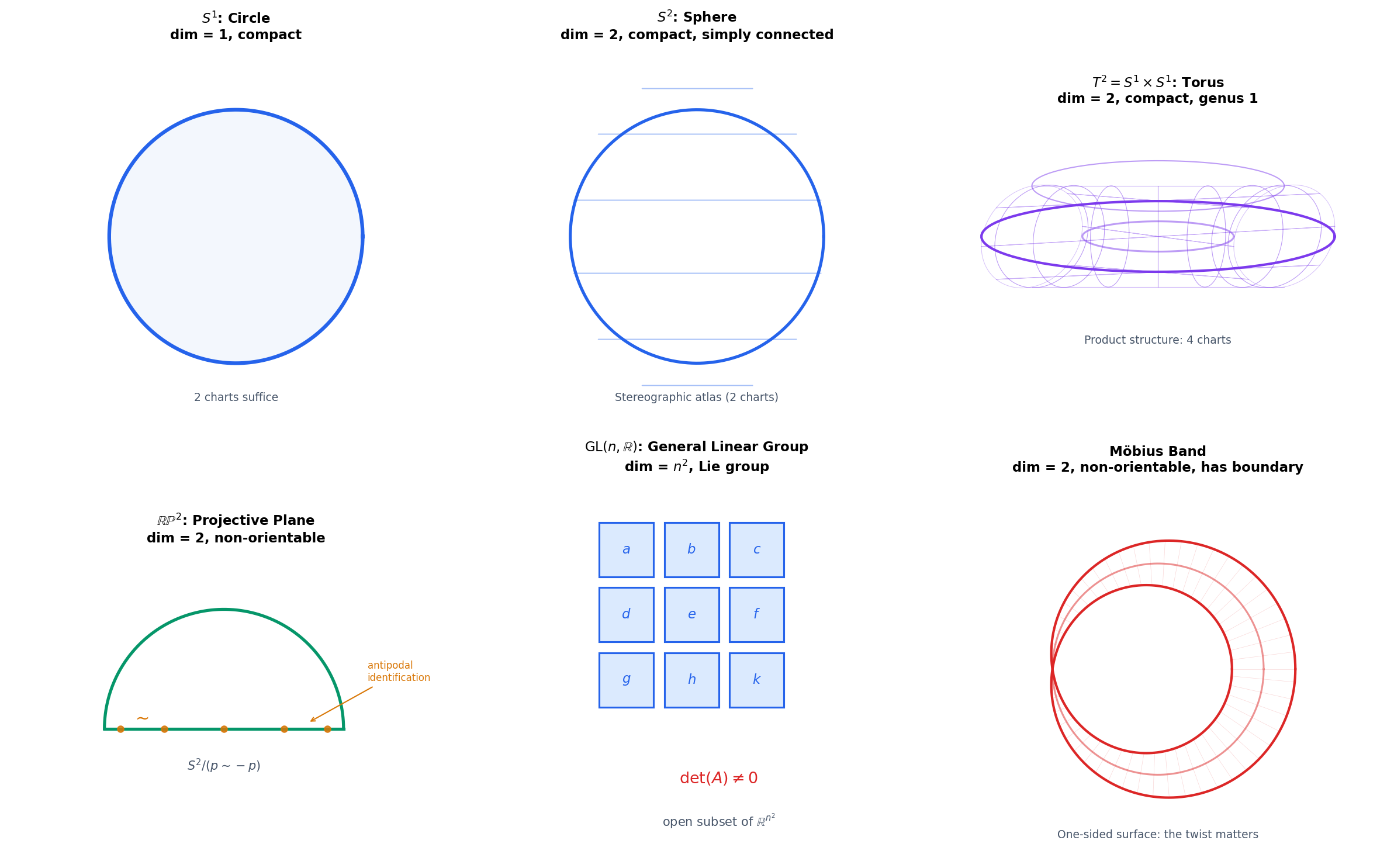 Gallery of smooth manifolds: the circle, sphere, torus, real projective plane, GL(n), and Mobius band with their dimensions, charts, and topological properties