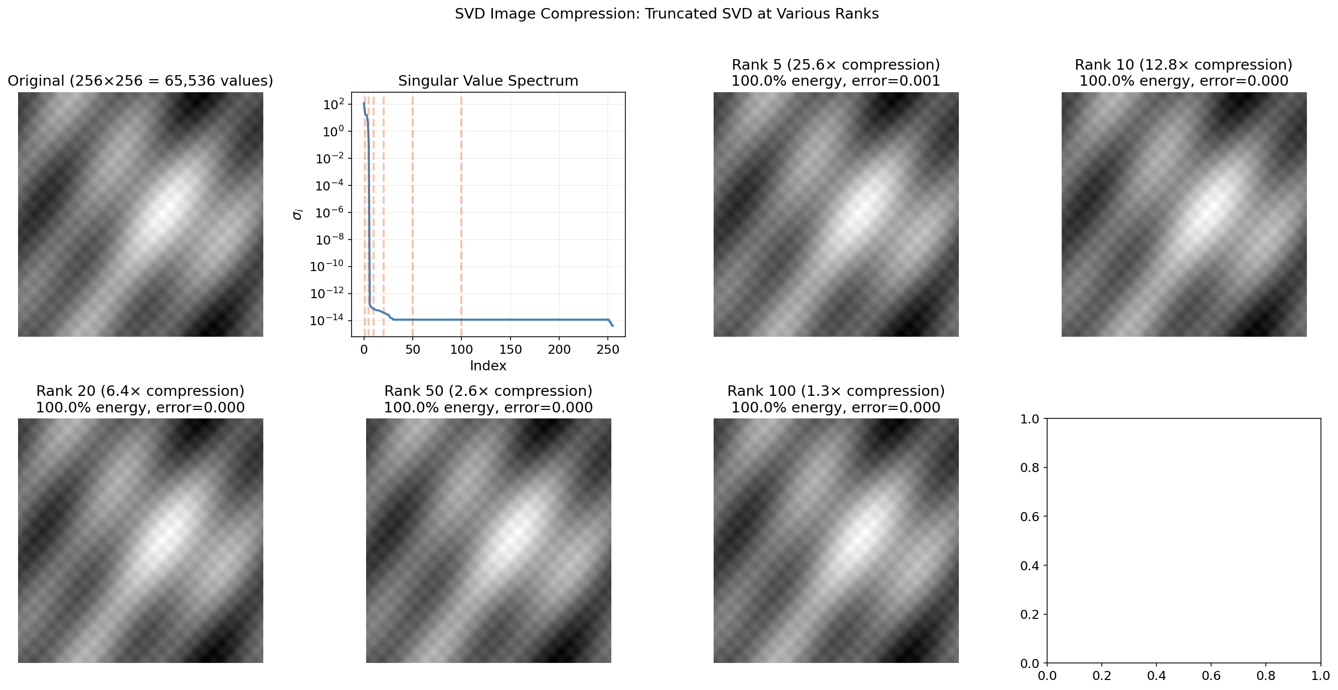 Image compression: original and truncated SVD reconstructions at various ranks
