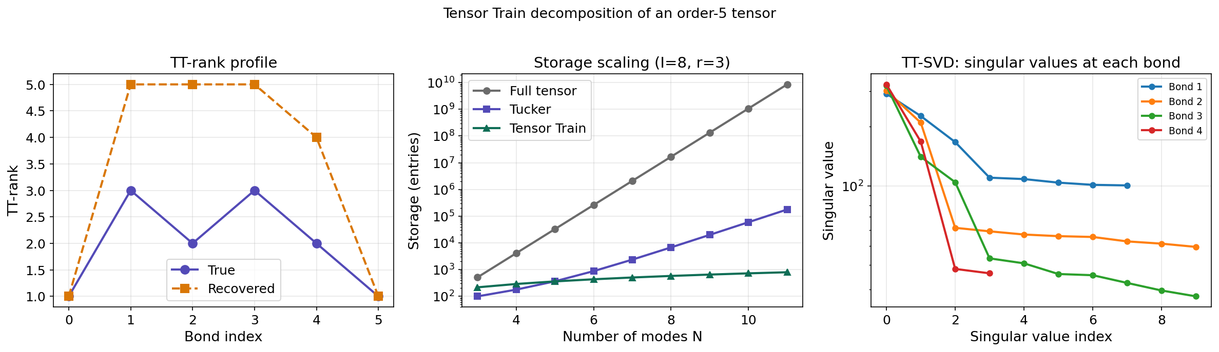 Tensor Train: TT-rank profile, storage scaling, and bond singular values